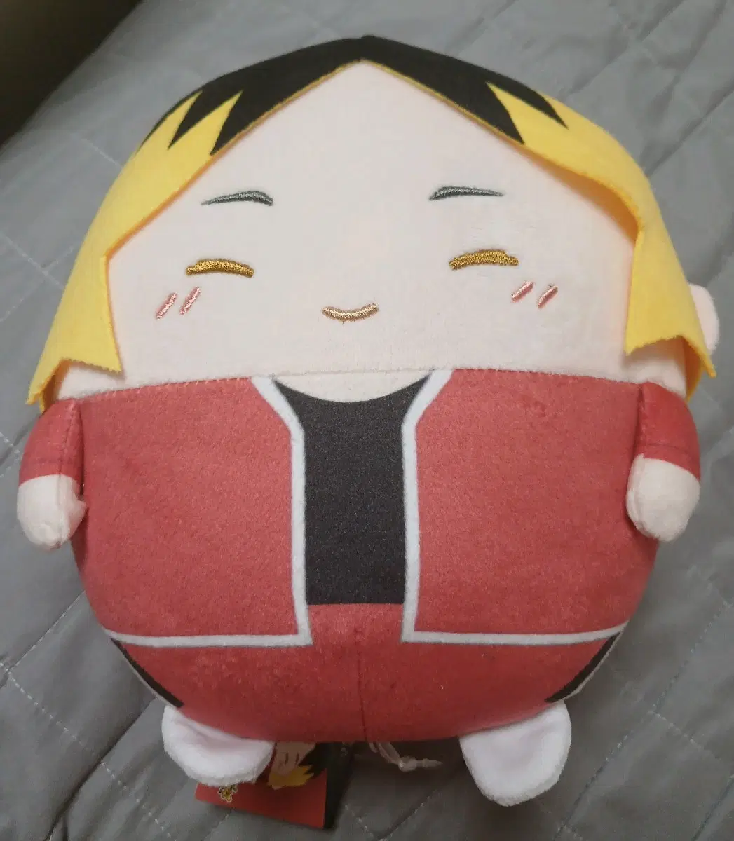 하이큐 켄마 후와코로링 M사이즈 인형 판매
