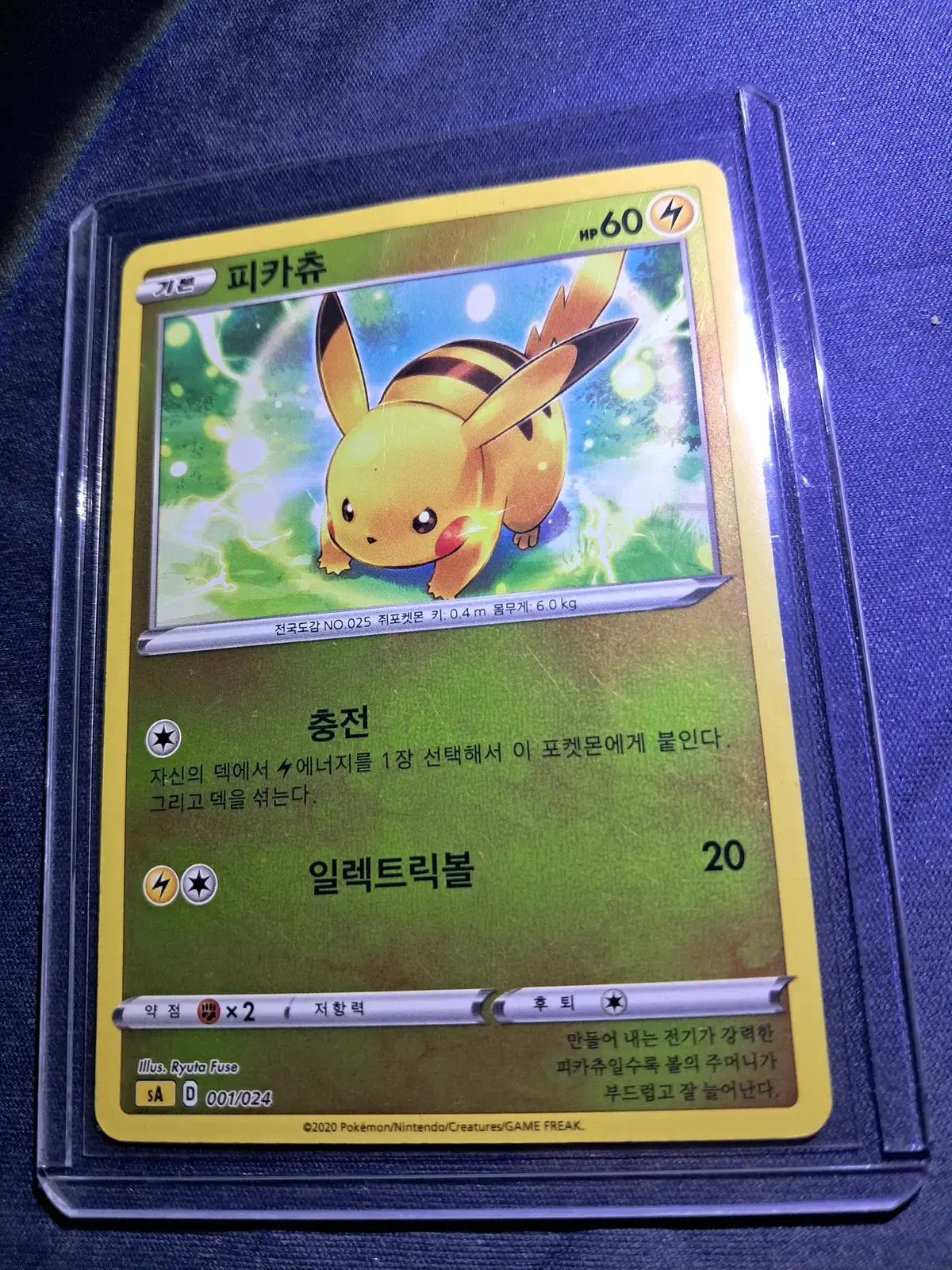 피카츄 (피카츄)