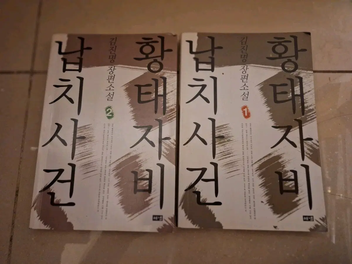 # 황태자비 납치사건(김진명 장편소설)