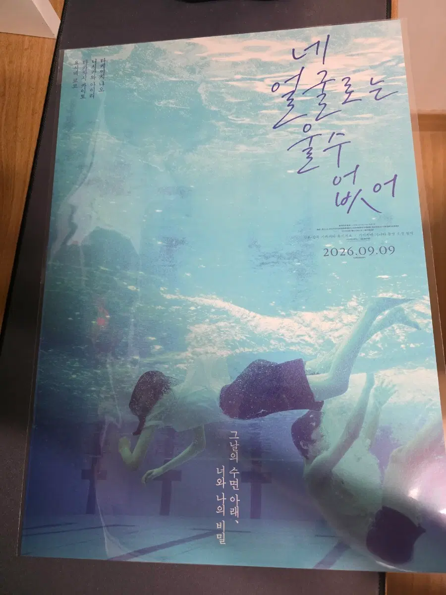 네 얼굴로는 울 수 없어 포스터