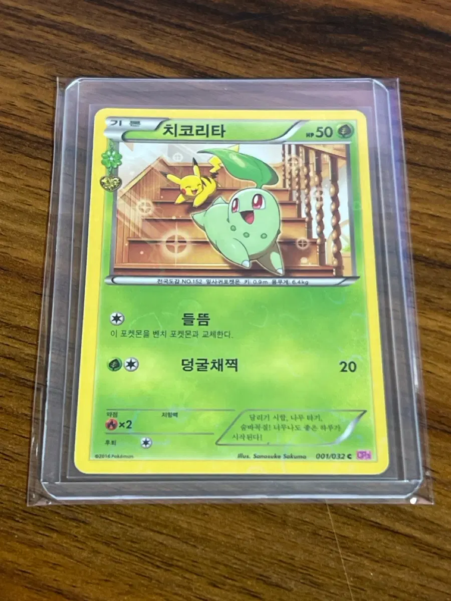 포켓몬카드 심쿵 컬렉션 치코리타 카드