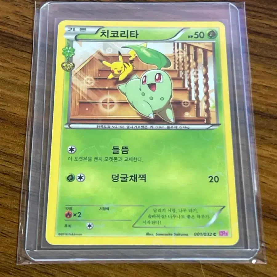 포켓몬카드 심쿵 컬렉션 치코리타 카드