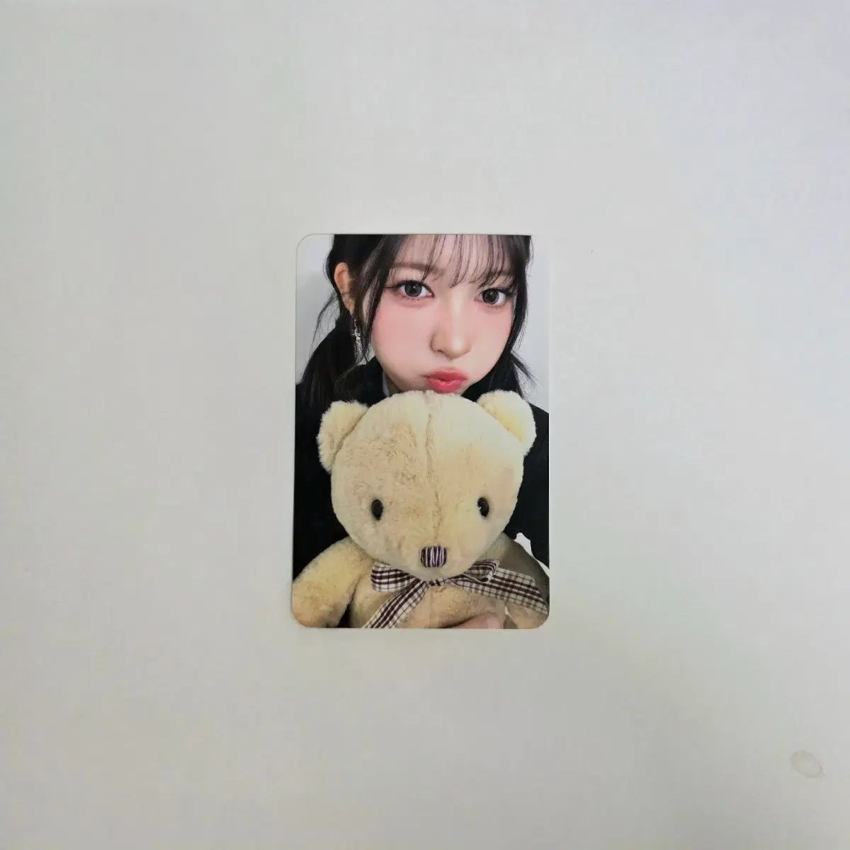 리센느 메이 곰인형 포카