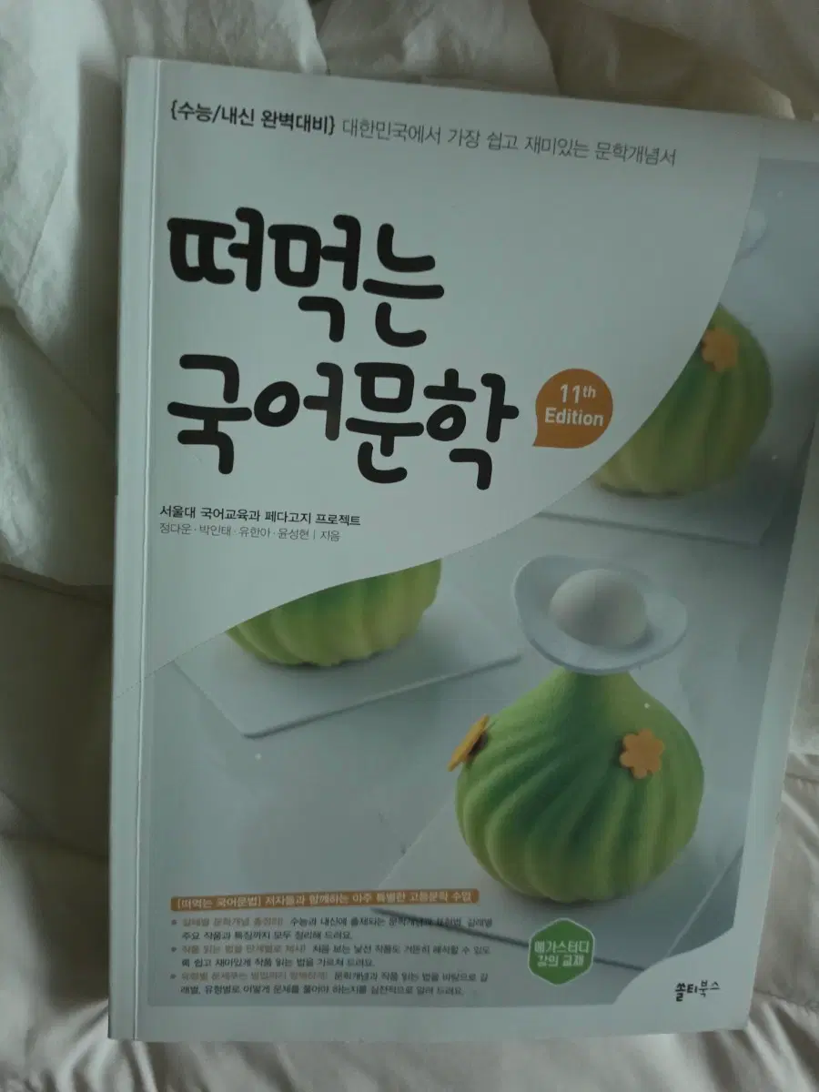 2027 떠먹는 국어문학 11판