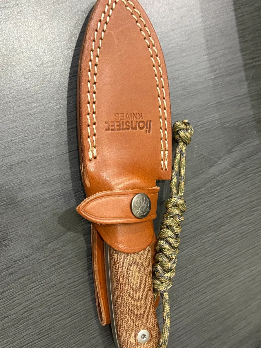 lion steel m4 m390