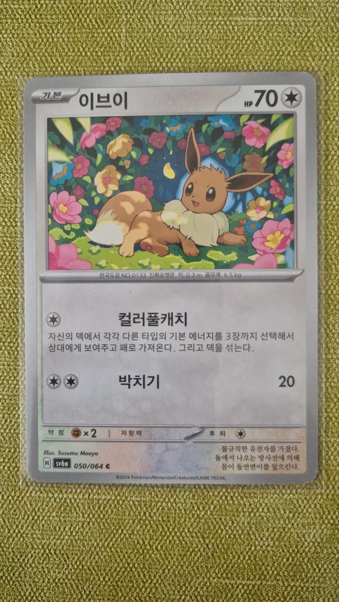[포켓몬키드 한판] 이브이 050/064