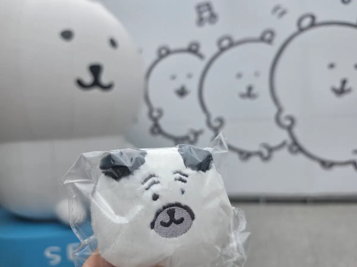나가노마켓 성수 팝업 쿠지 농담곰 퍼그 E상 새상품