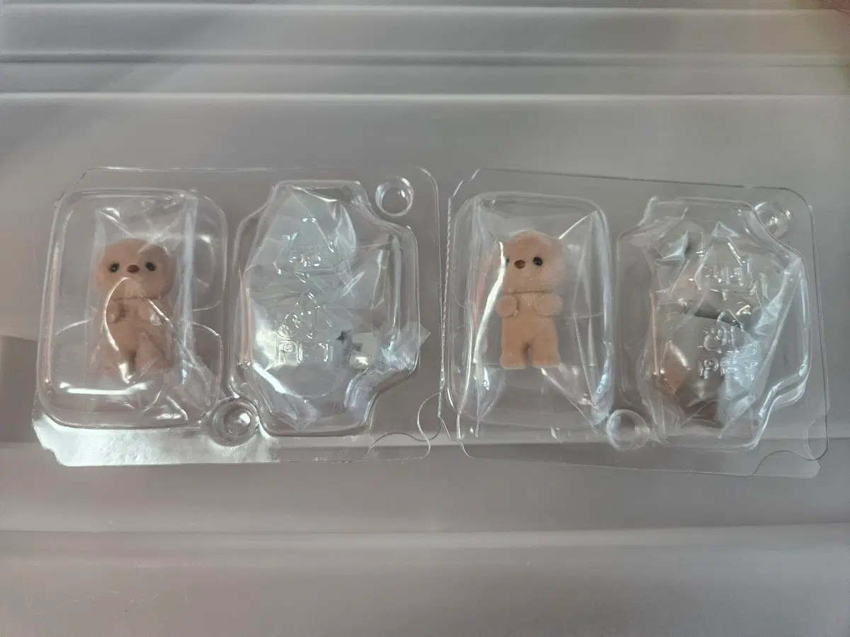 실바니안 돌바니안