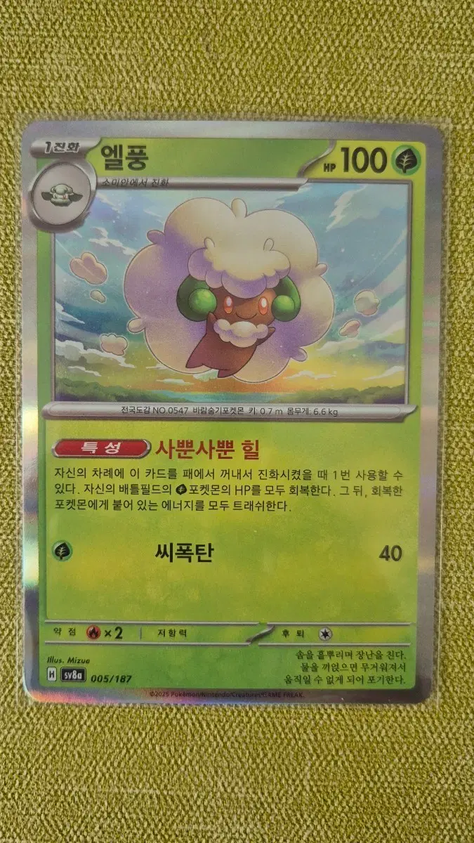 [포켓몬카드 한판] 엘풍 홀로 005/187