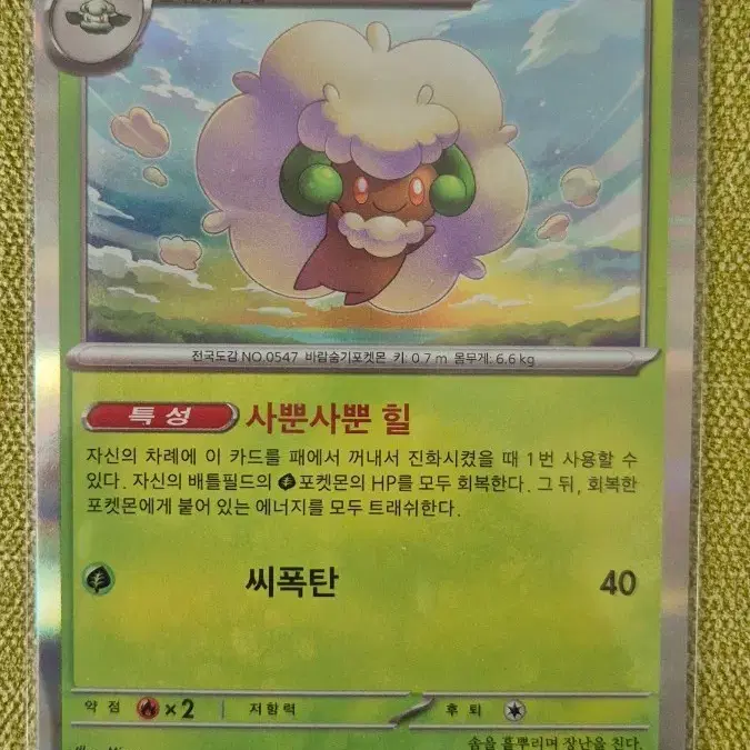 [포켓몬카드 한판] 엘풍 홀로 005/187