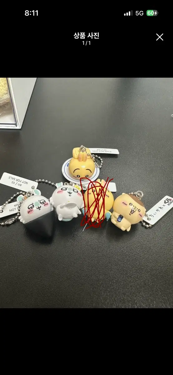 쿠라스시 23,24과거 가챠일광
