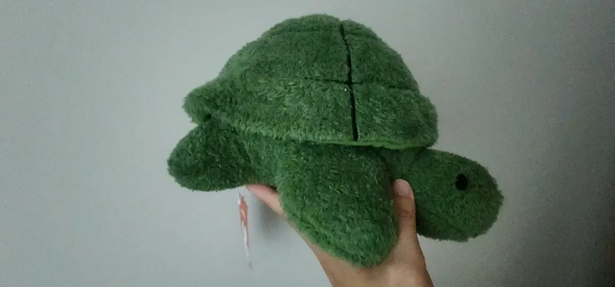 정품 미피 거북이 중형 인형