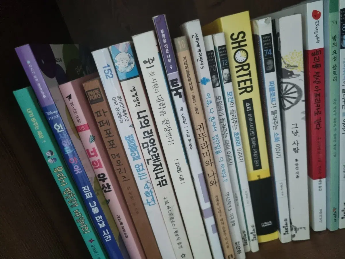 책 여러 권 (어린이 동화, 소설 등)