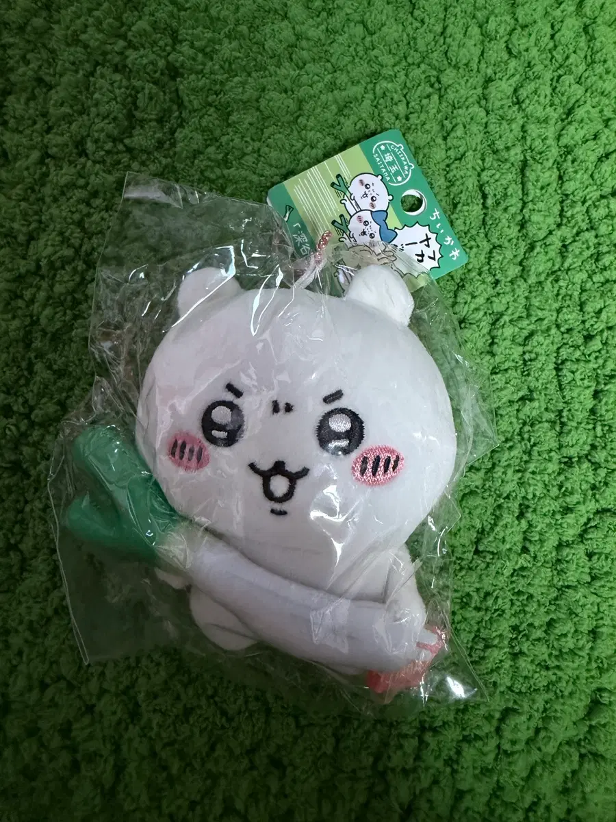 치이카와 대파 치이카와 마스코트