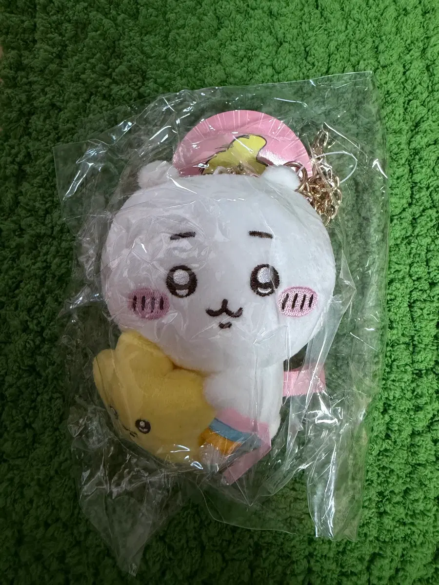 치이카와 별똥별 치이카와