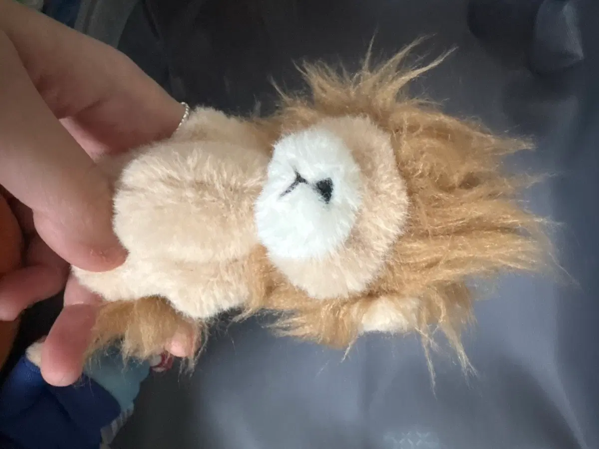 사자 인형