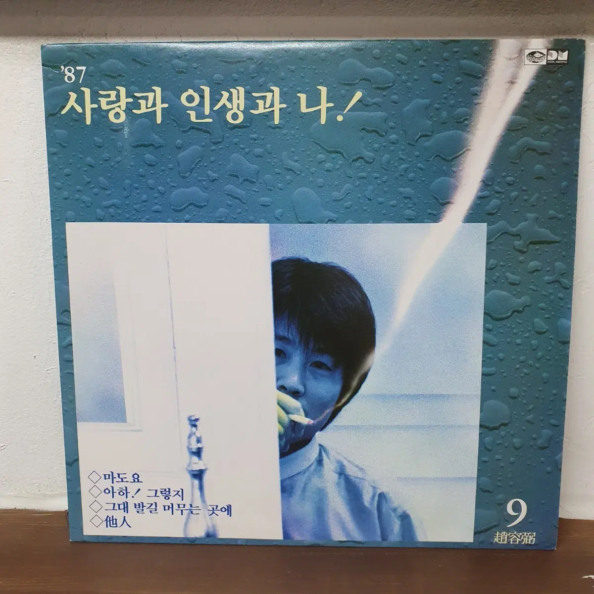 조용필 9집 LP 1987 그대 발길 머무는 곳에 마도요