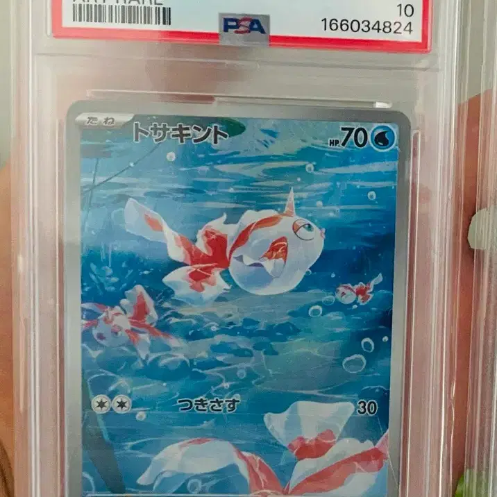 포켓몬 카드 2026 콘치 ar PSA 10