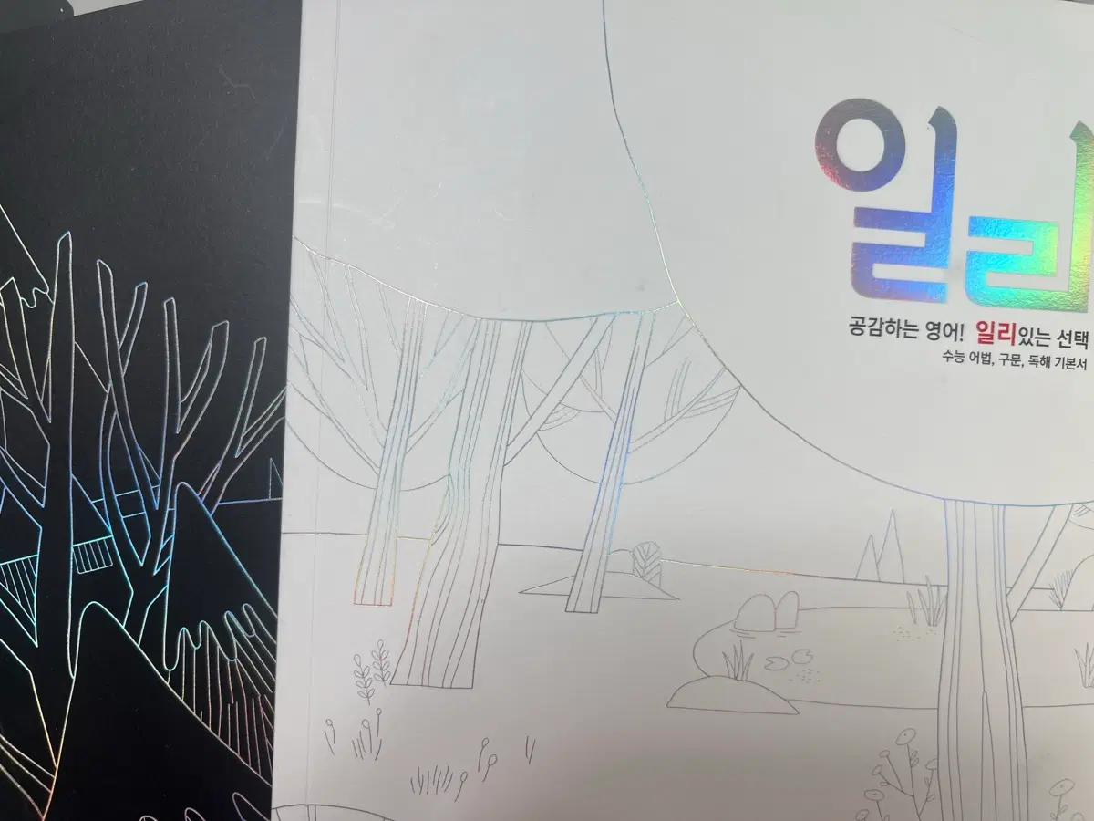 이명학 일리