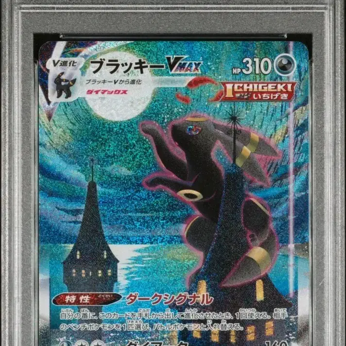 포켓몬카드 일판 블래키 Vmax 특일 Psa 10