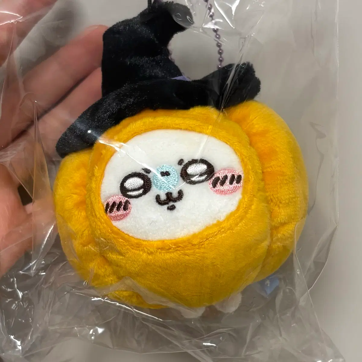 치이카와 모몽가 호박