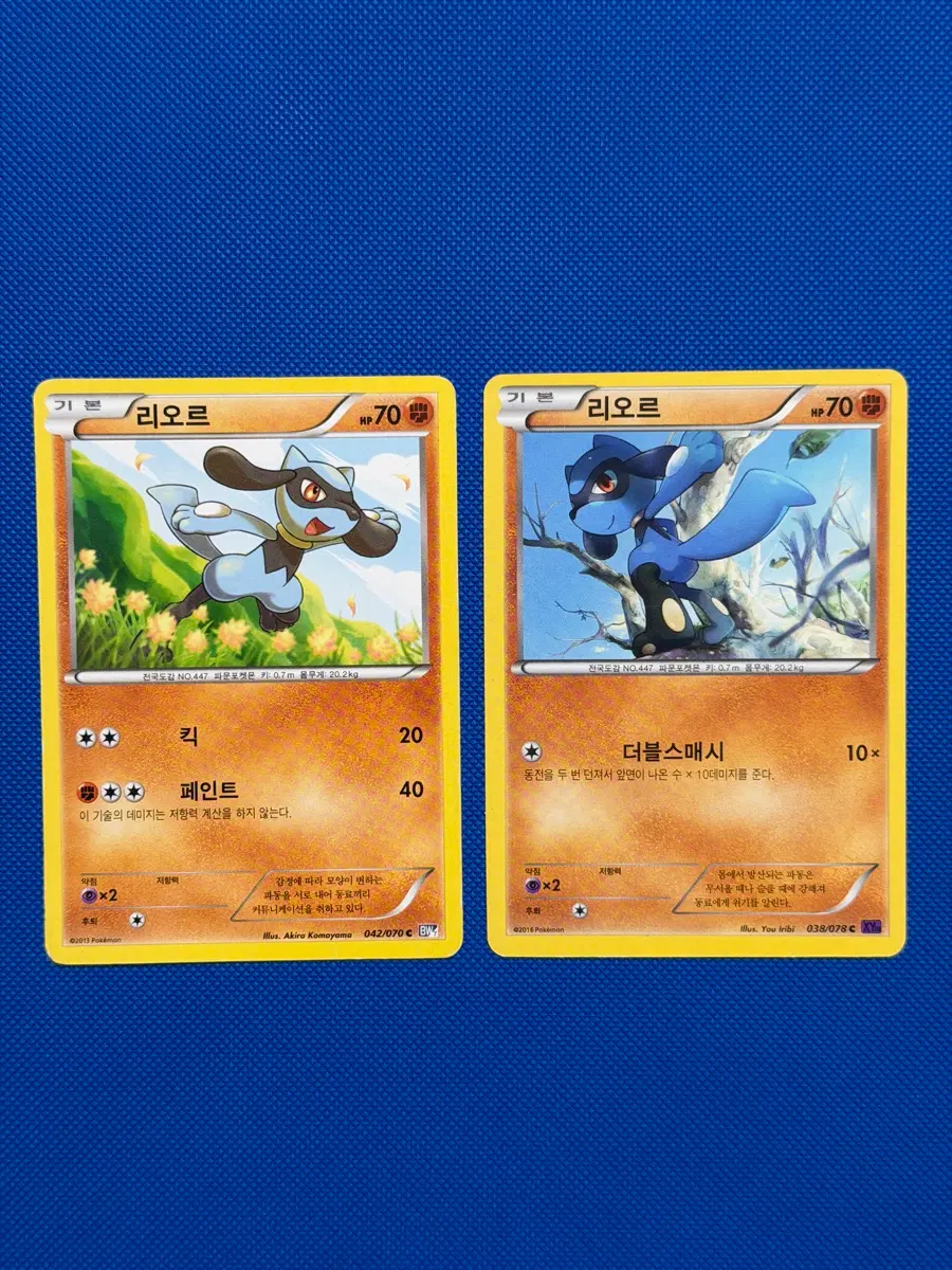 귀여운 포켓몬 고대 카드 리오르 bw, xy 2종