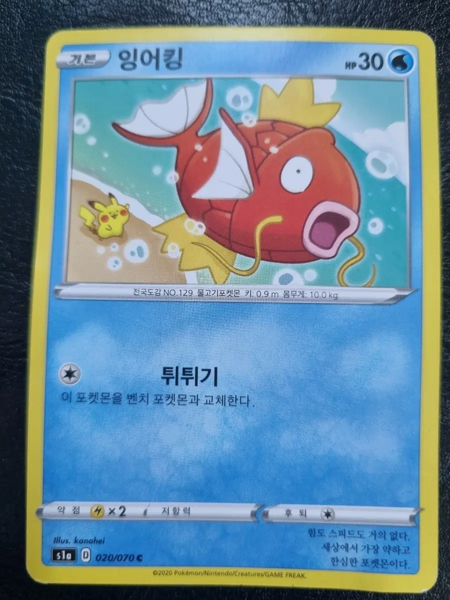 카나헤이 잉어킹 싸게팝니다