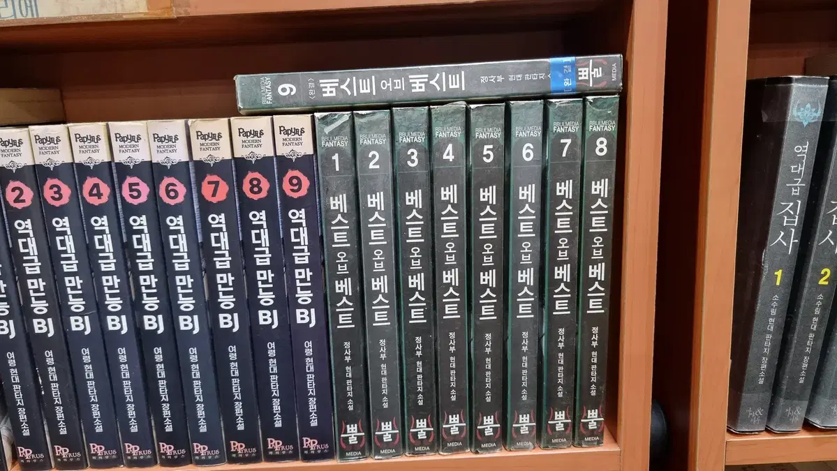 베스트오브베스트 1-9 완 정사부 현대 판타지 소설
