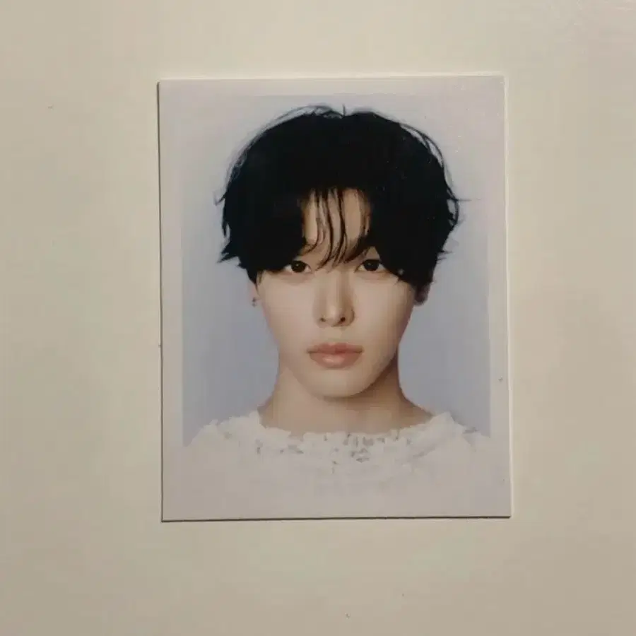 엔시티위시 오드투러브 팝업 오투럽 랜덤 증사 리쿠