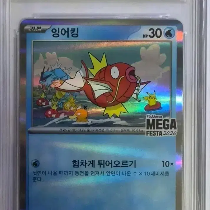 포켓몬카드 잉어킹 brg 10