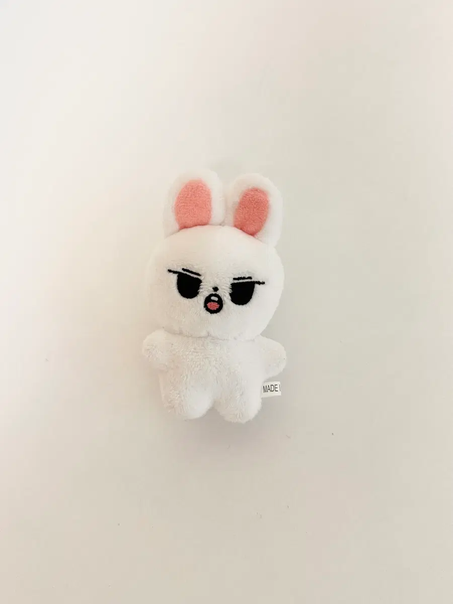 스트레이키즈 리노 비공식 굿즈 리랑 판매