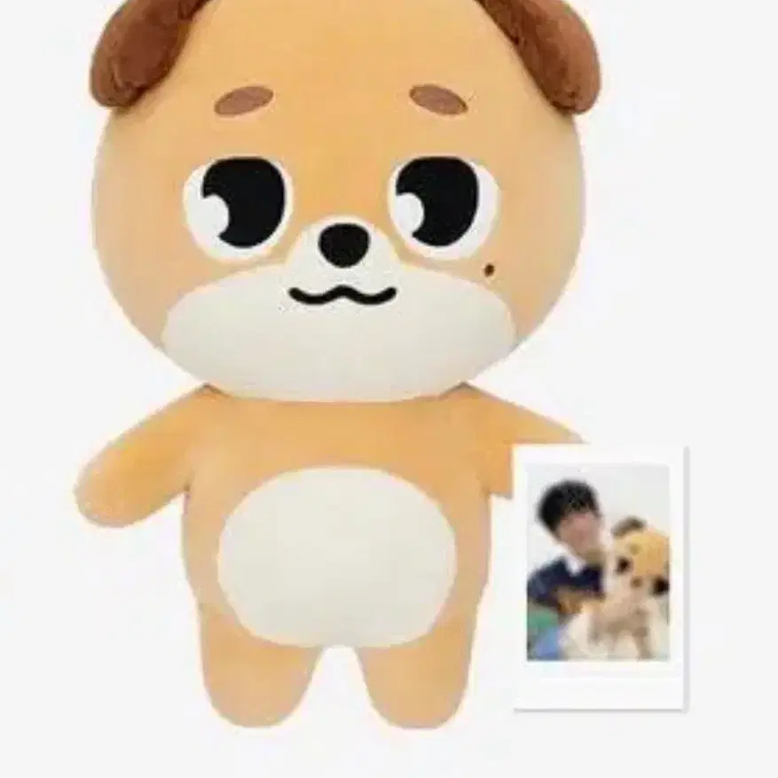 자이언트 데니멀즈 돈 폴라 포함