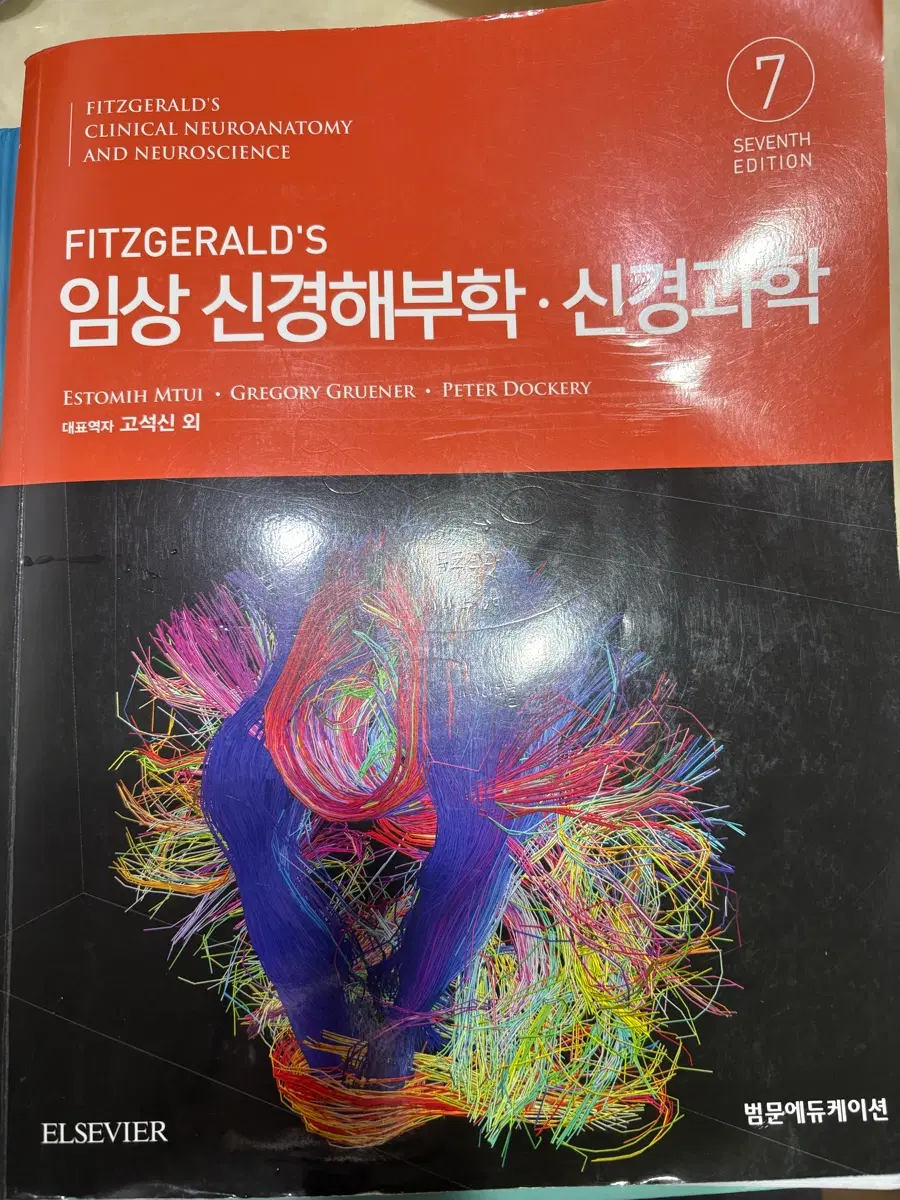 임상 신경해부학 신경과학