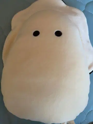동글동글한 눈 생굴