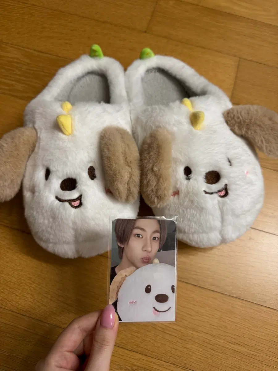 라이즈 슬리퍼