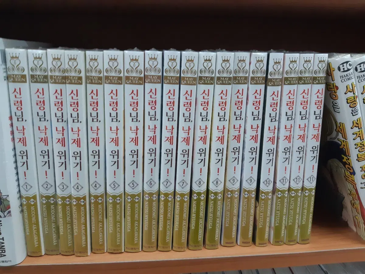 신령님, 낙제 위기 1~11 미개봉 만화짱많아 프로안전상점