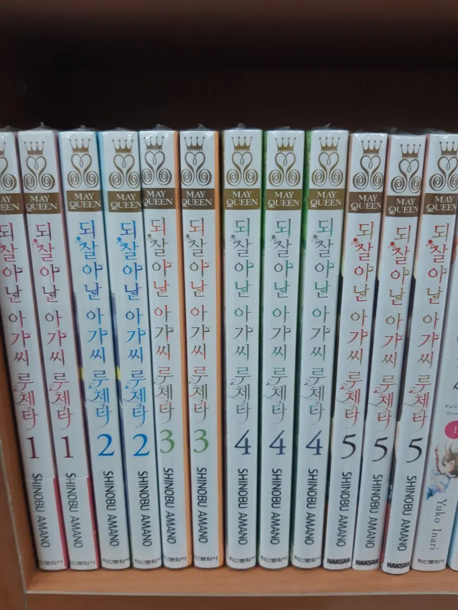 되살아난 아가씨 루체타 1-5 미개봉 만화짱많아 프로안전상점