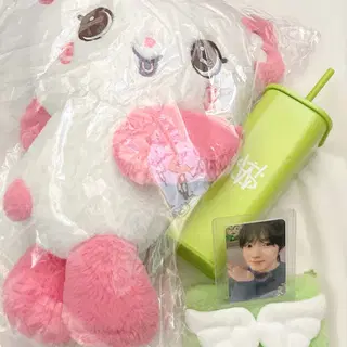 팡이 가방 엔시티 위시 사쿠야 위시돌 인형 nct wish sakuya login bag