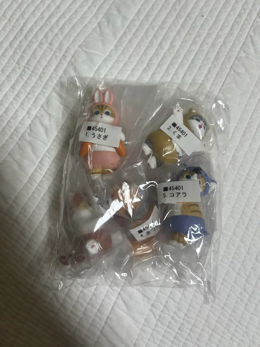 모프샌드 고양이 가챠 풀셋
