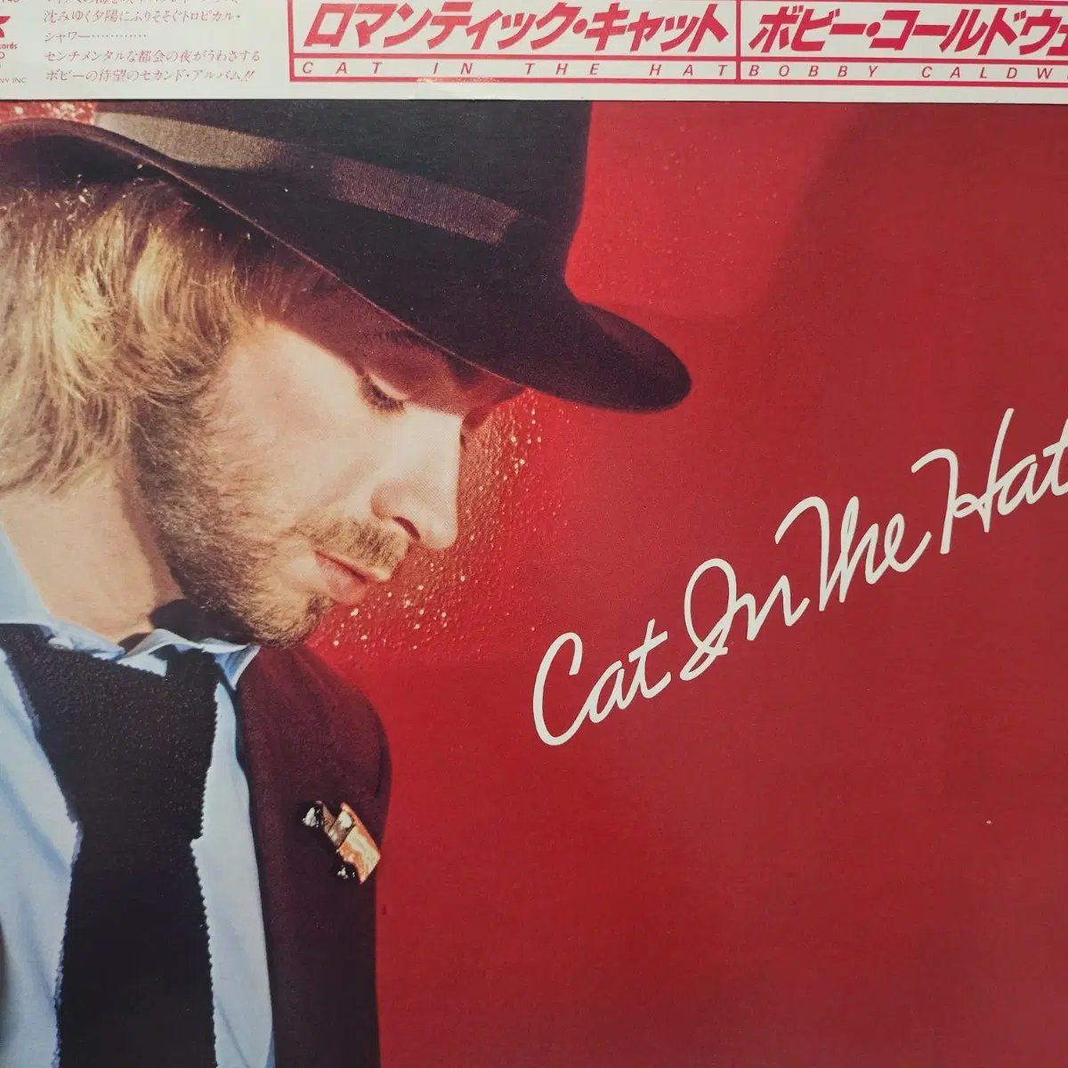 AOR 명반 추천 바비 콜드웰 Bobby Caldwell Cat In The Hat LP