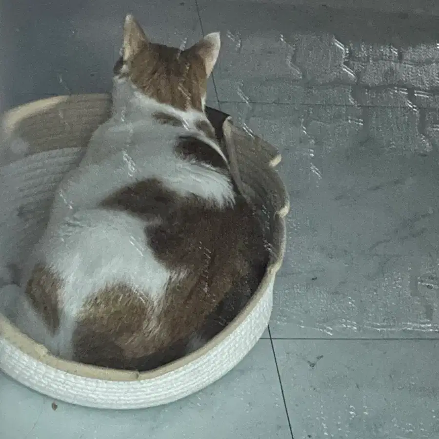 파우치 블랙