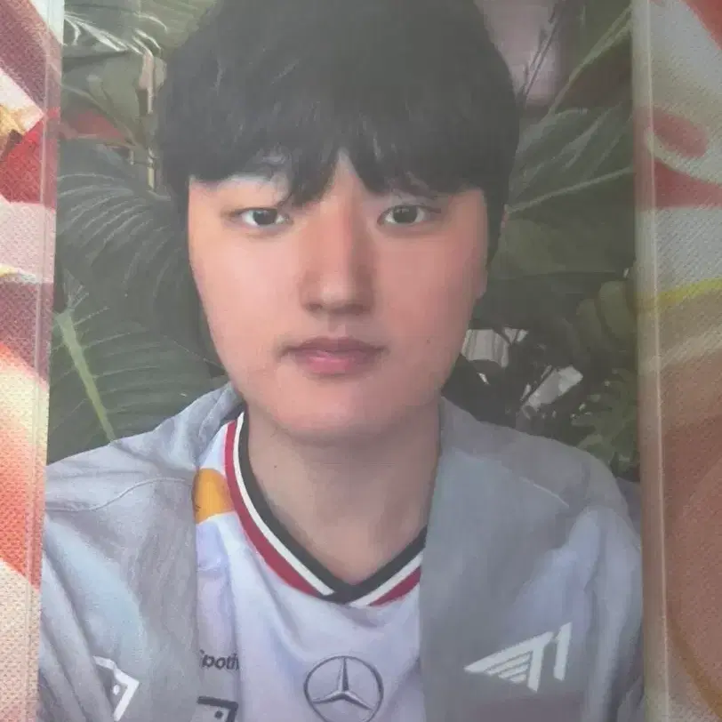 페이즈 베이스캠프 포카