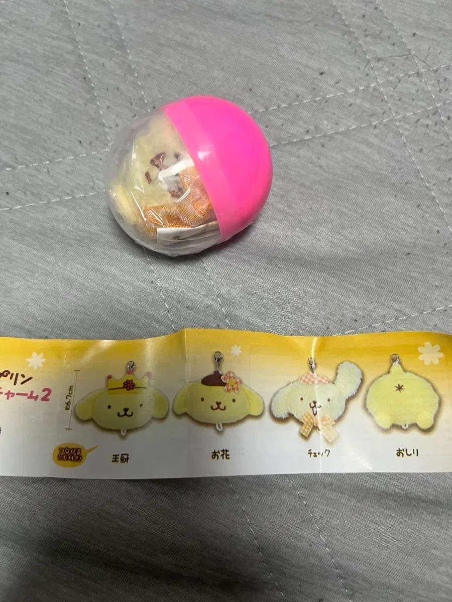 폼폼푸린 캡슐 가차