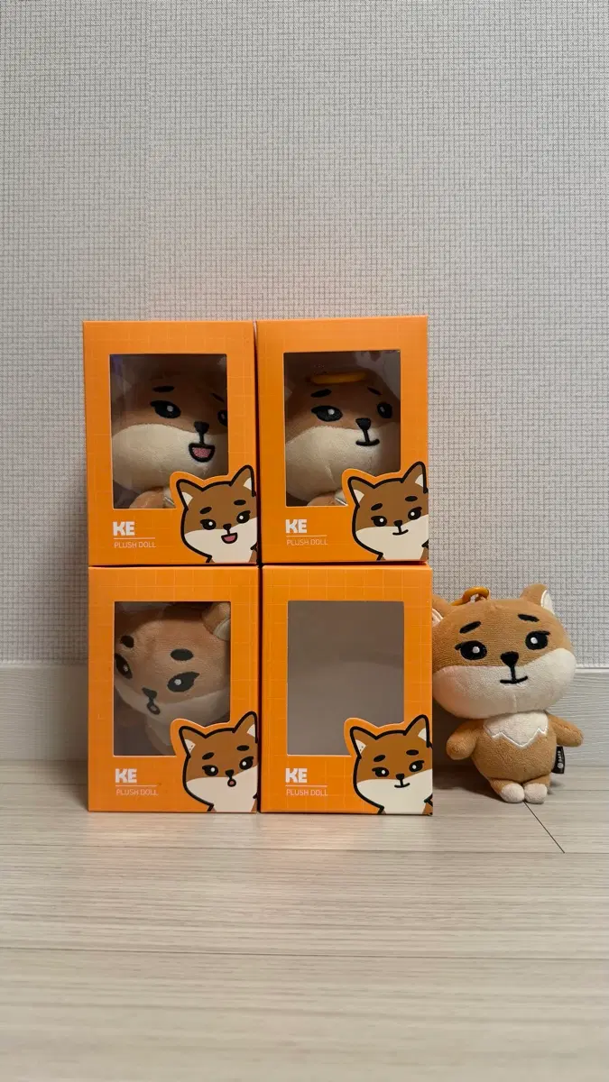 데니멀즈 케 19 20 22 24 영케이 데멀 왕데멀 데이식스 데식
