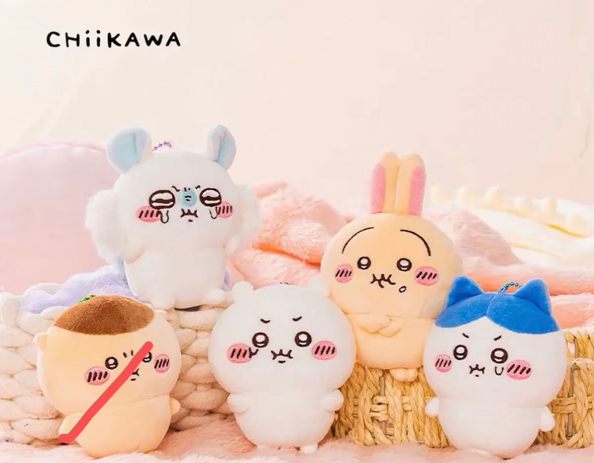 치이카와 PUN 밥풀 인형 누이 키링 모몽가 우사기 하치와레