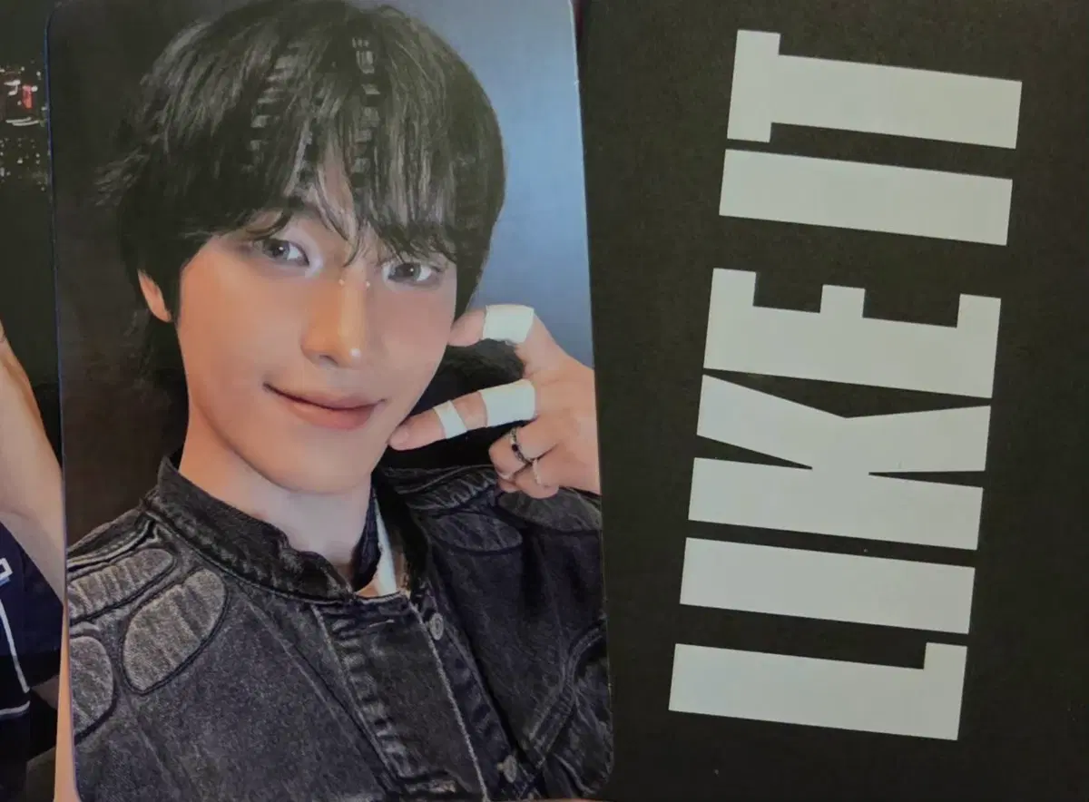 디노 공방 포카