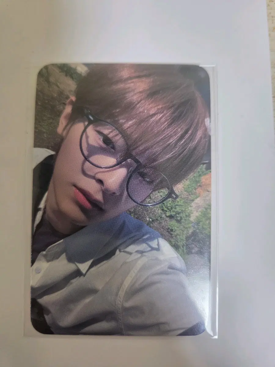 강우진 포카 양도