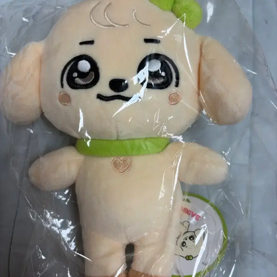 강안지 인형 판매 판완
