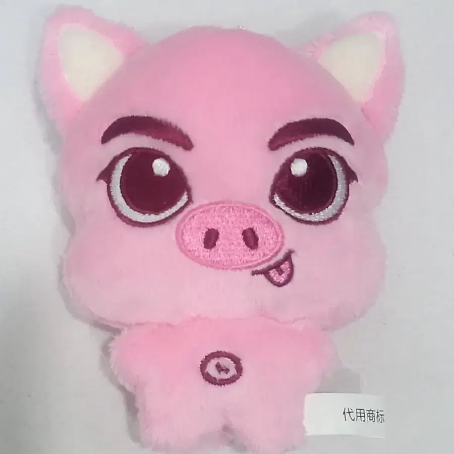 쩡돈이 구해요 엔하이픈 양정원 인형 엔하이픈 정원인형 쩡돈이