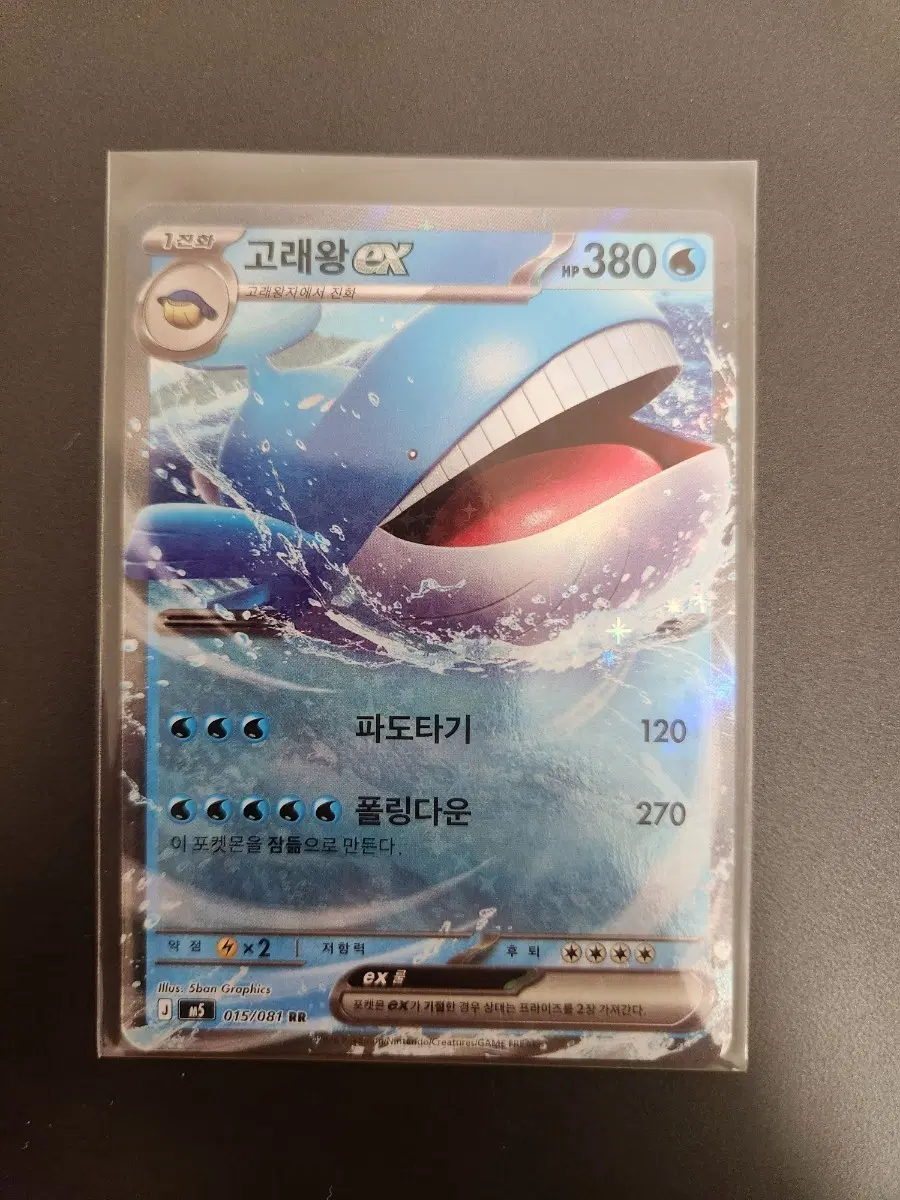 포켓몬카드 고래왕 EX RR
